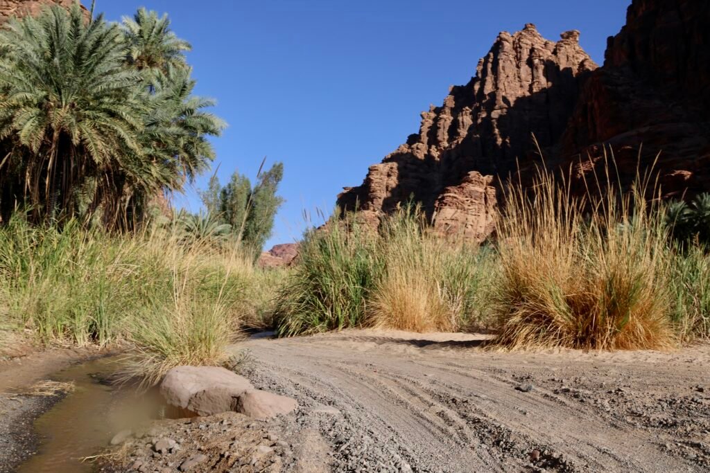 saoedi arabië 2025 11 06 (122)